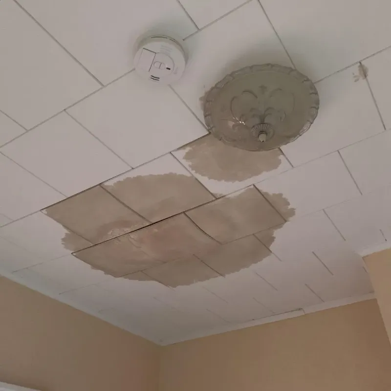 Ceiling Water Damage Repair in Harrisburg, SD