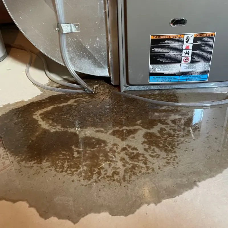Pipe Burst and Leak Restoration in Harrisburg, SD